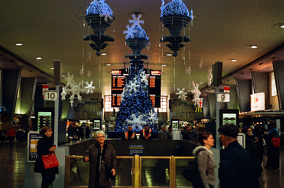 20121228-film-nikon-f3-kodak-portra-800-0013