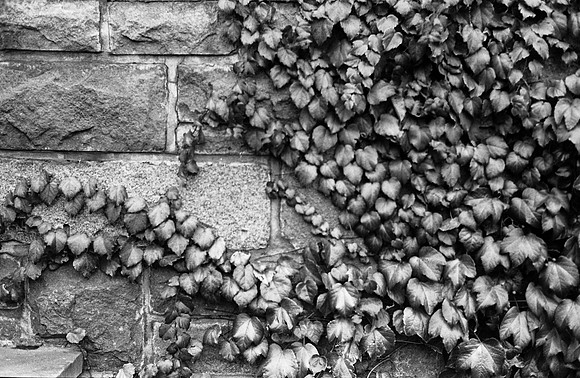 20130101-film-nikon-f3-kodak-trix400-iso400-0003