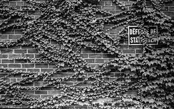 20130101-film-nikon-f3-kodak-trix400-iso400-0002